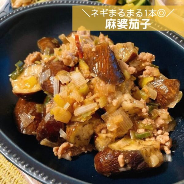 ネギまるまる1本◎麻婆茄子