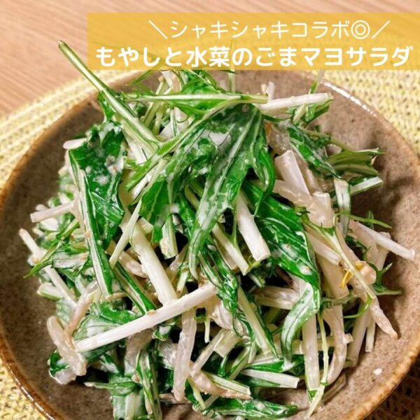 シャキシャキコラボ◎もやしと水菜のごまマヨサラダ